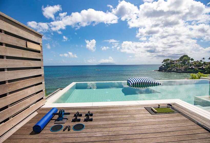 ویلای یک اتاق خوابه با استخر شنا, Hilton Seychelles Northolme Resort & Spa