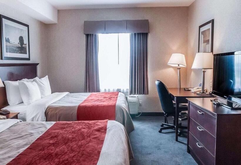 اتاق استاندارد, Comfort Inn