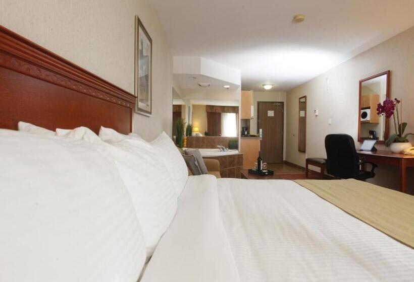 Студия Стандарт, Stonebridge Hotel Dawson Creek