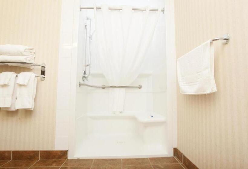 Номер Стандарт Кровать Кинг Адаптированный для Инвалидов, Stonebridge Hotel Dawson Creek