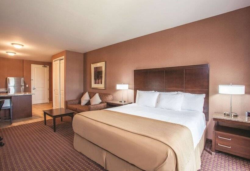 Студия Стандарт Двуспальная Кровать, La Quinta By Wyndham Paso Robles