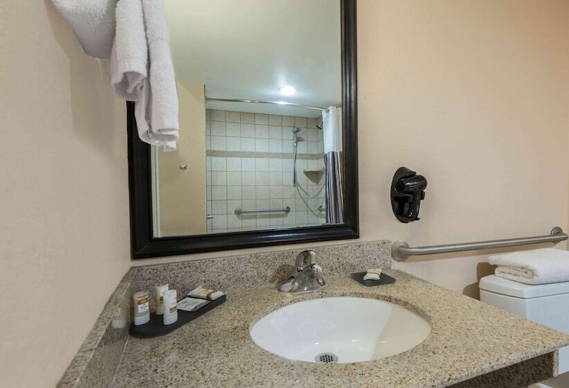 适合残疾人士使用的套间, La Quinta By Wyndham San Antonio Medical Ctr. Nw