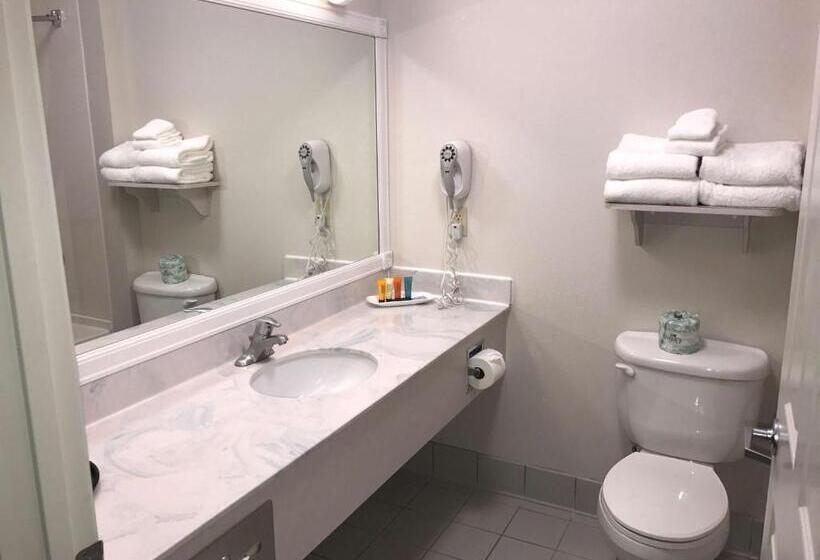 Номер Стандарт, Surestay Plus Hotel By Best Western Billings