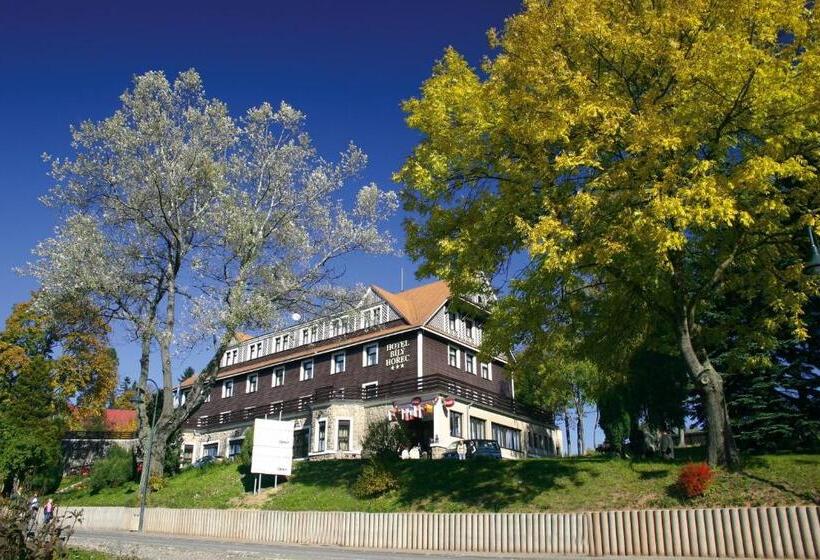 4인용 스탠다드 룸, Spa Hotel Bily Horec