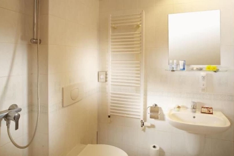 스탠다드 룸, Spa Hotel Bily Horec