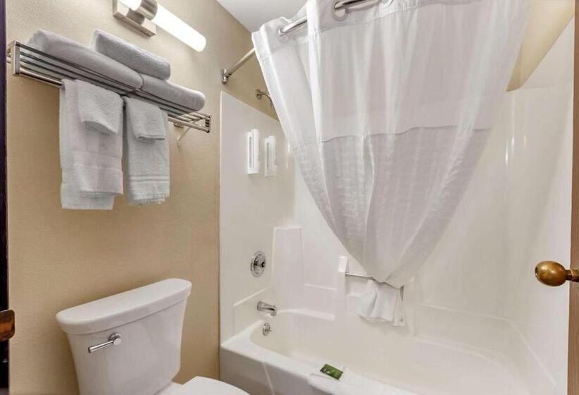 Стандартный Номер Кровать Кинг, Clarion Pointe Racine  Mount Pleasant