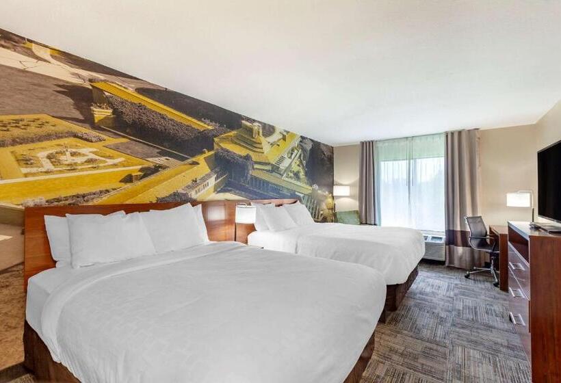 Номер Стандарт, Clarion Pointe Racine  Mount Pleasant