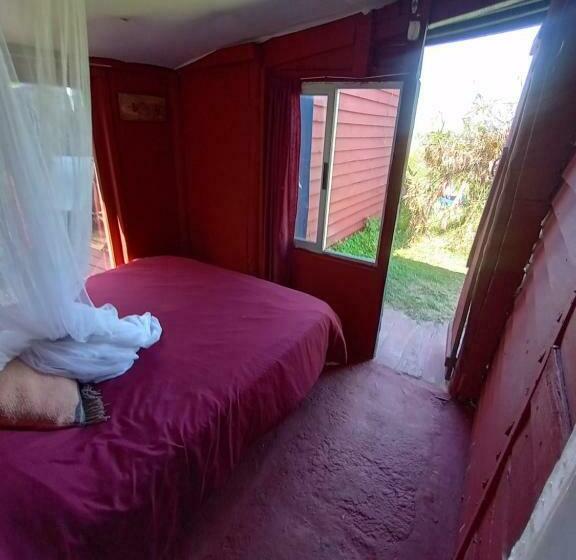 스탠다드 룸, Green House Hostel