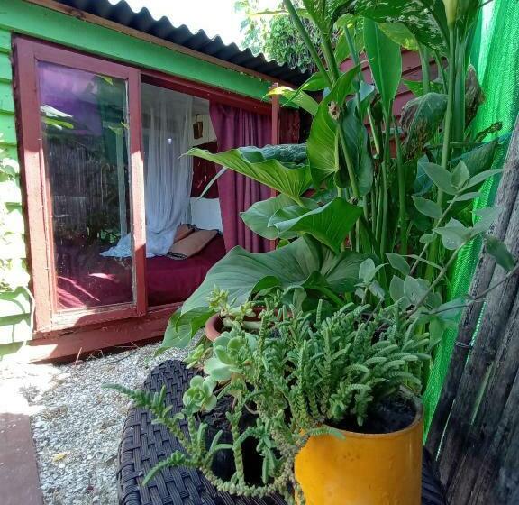 스탠다드 룸, Green House Hostel