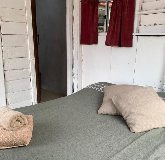 스탠다드 룸, Green House Hostel