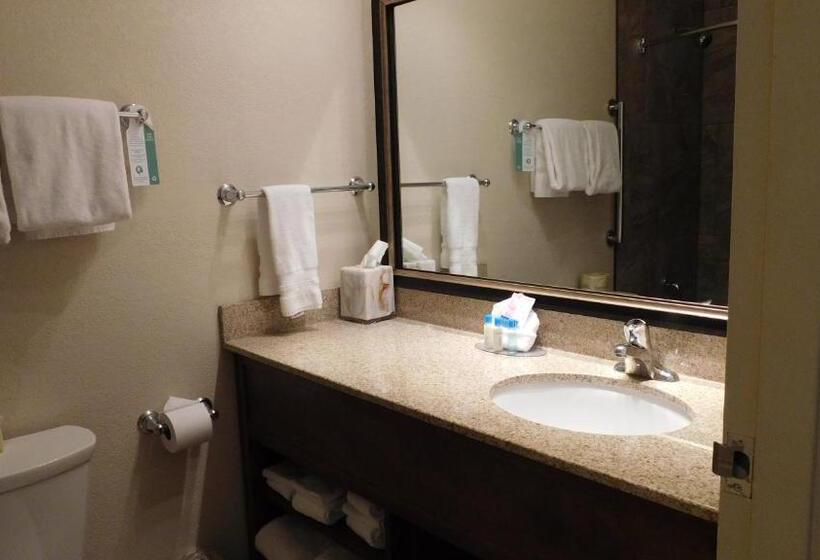 Suíte Cama King, Best Western Plus Ramkota
