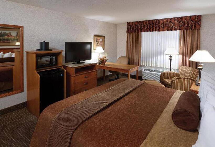 스탠다드 룸 킹사이즈 침대, Best Western Plus Ramkota