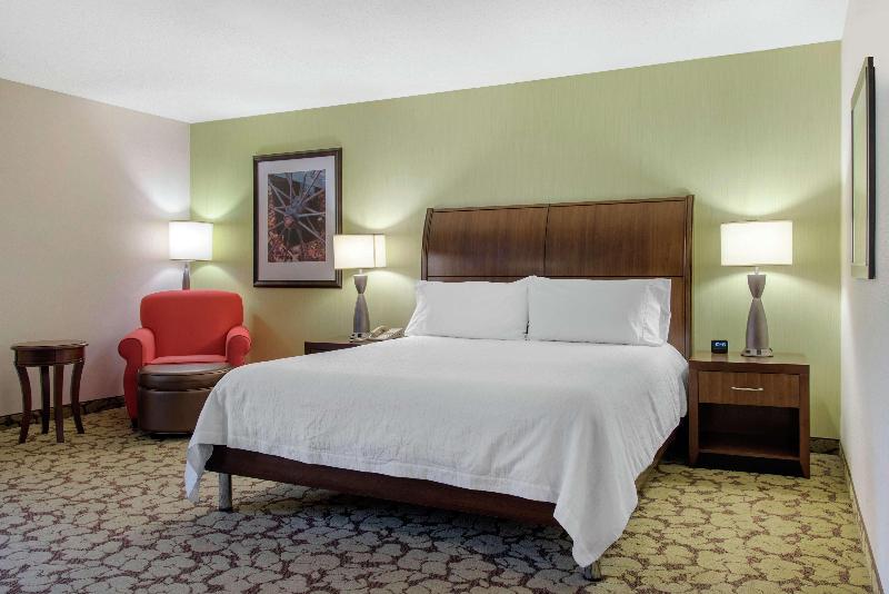 스탠다드 룸 킹사이즈 침대, Hilton Garden Inn Portland Airport