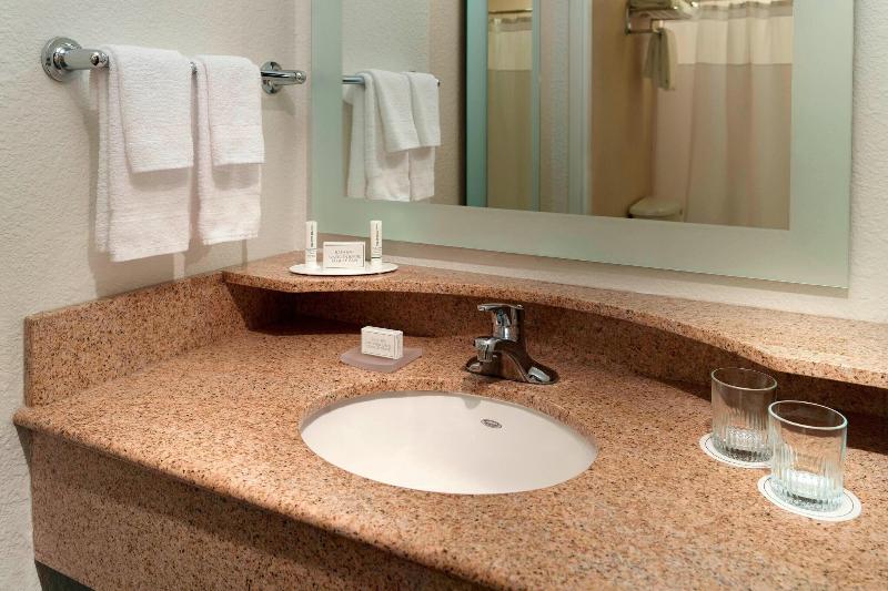 带大床的套房, Springhill Suites By Marriott Atlanta Buckhead