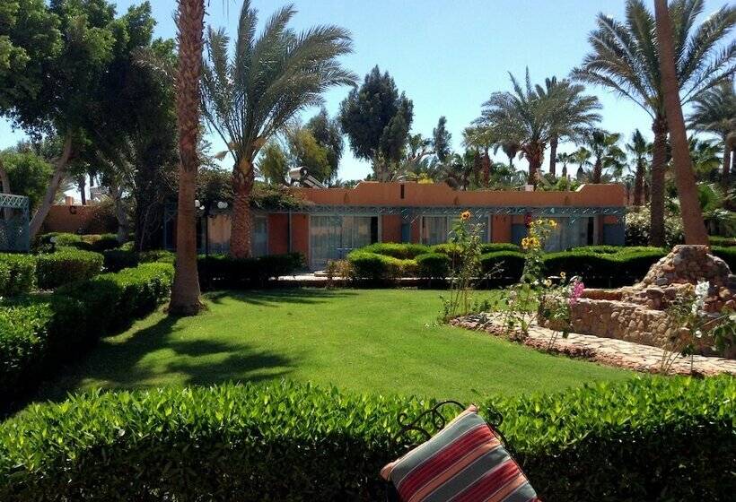 اتاق استاندارد با چشم‌انداز باغ, Giftun Azur Resort