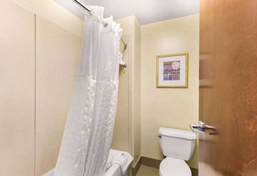 套房, Comfort Suites Columbia Gateway