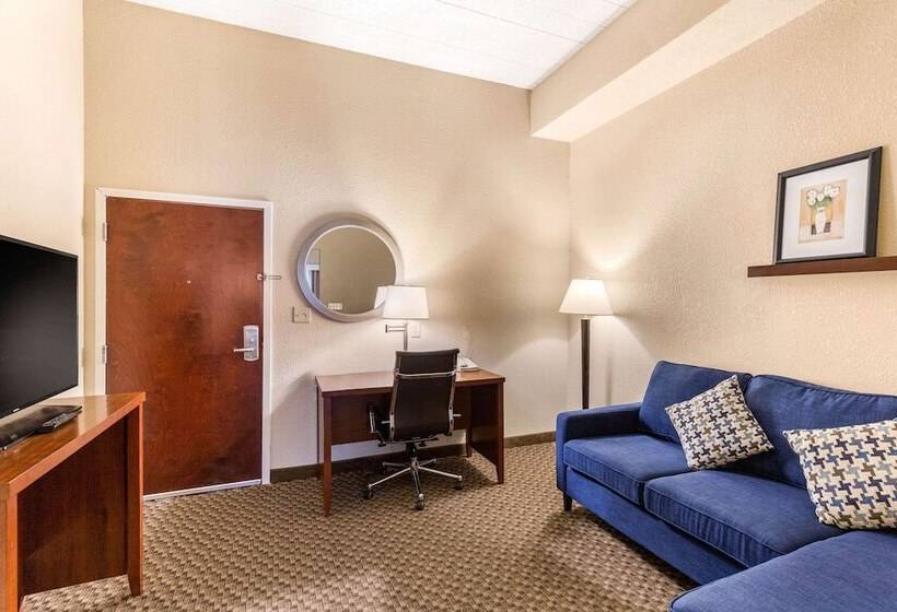 套房, Comfort Suites Columbia Gateway