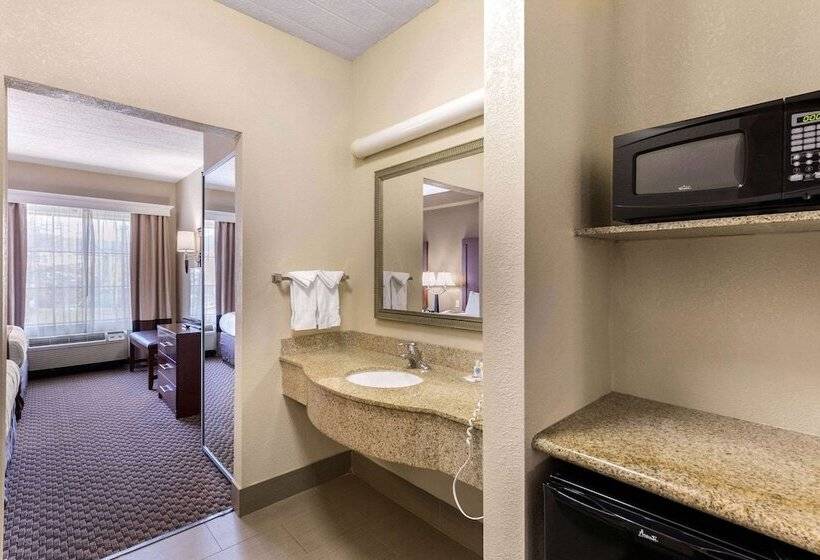 套房, Comfort Suites Columbia Gateway