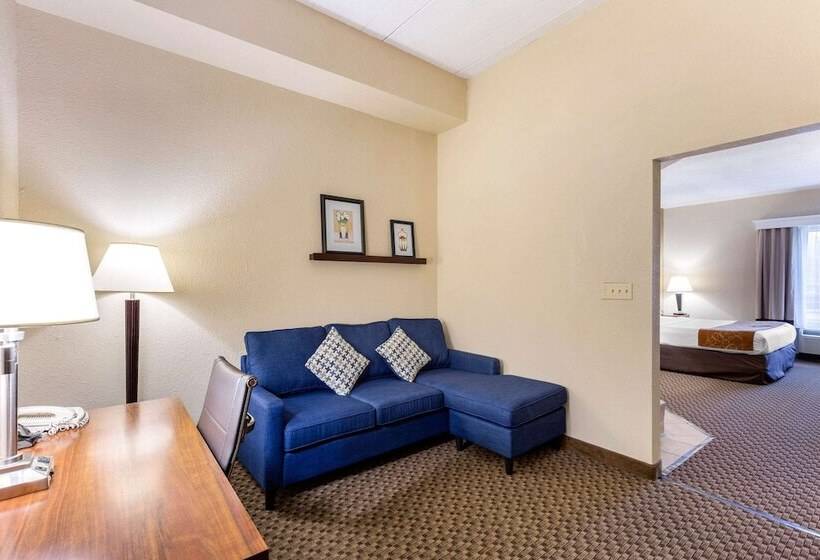 套房, Comfort Suites Columbia Gateway