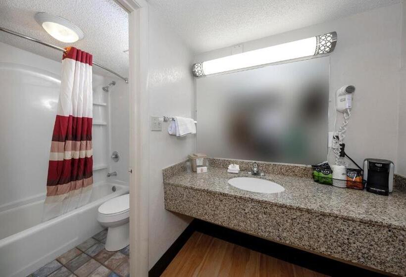 디럭스 룸, Red Roof Inn Atlanta  Suwanee/ Mall Of Georgia