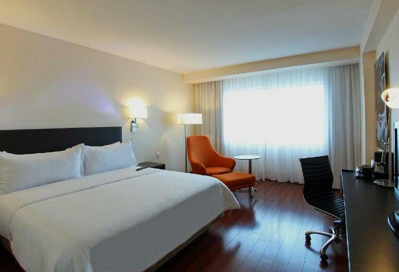 اتاق استاندارد با تخت بزرگ, Opus Grand Toluca Aeropuerto