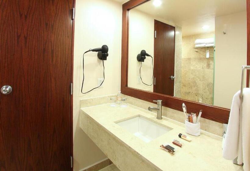 اتاق استاندارد با تخت بزرگ, Opus Grand Toluca Aeropuerto