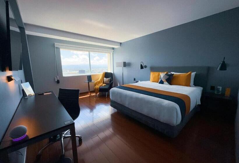 سوییت جونیور لوکس, Opus Grand Toluca Aeropuerto