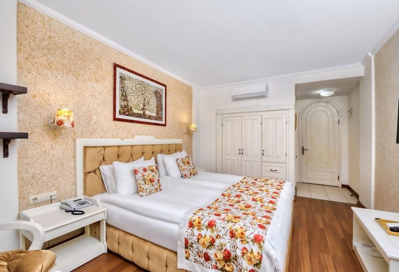 Camera Standard, Adalya Port