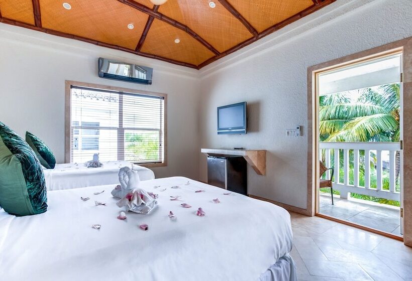 스탠다드 룸, The Placencia