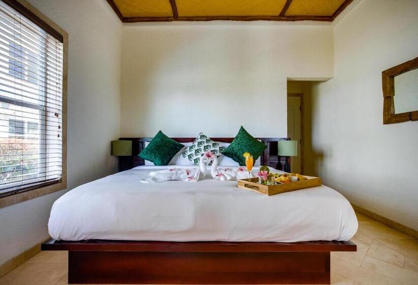 3침실 스위트, The Placencia