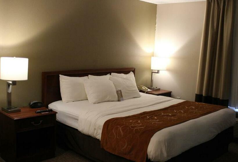 스위트 킹사이즈 침대, Comfort Suites Grandville   Grand Rapids Sw
