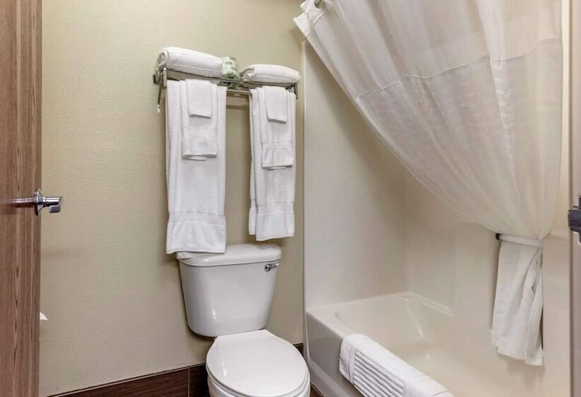 스위트, Comfort Suites Grandville   Grand Rapids Sw