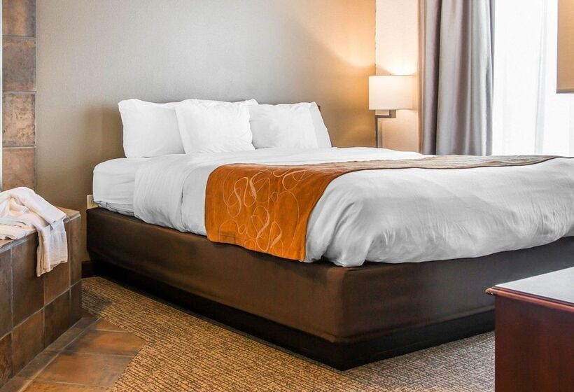 장애인을 위한 스위트, Comfort Suites Grandville   Grand Rapids Sw
