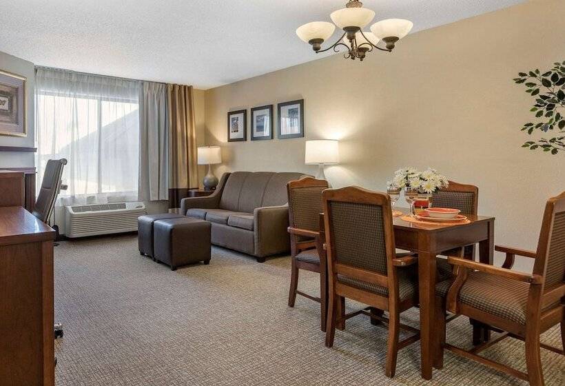 스위트, Comfort Suites Grandville   Grand Rapids Sw
