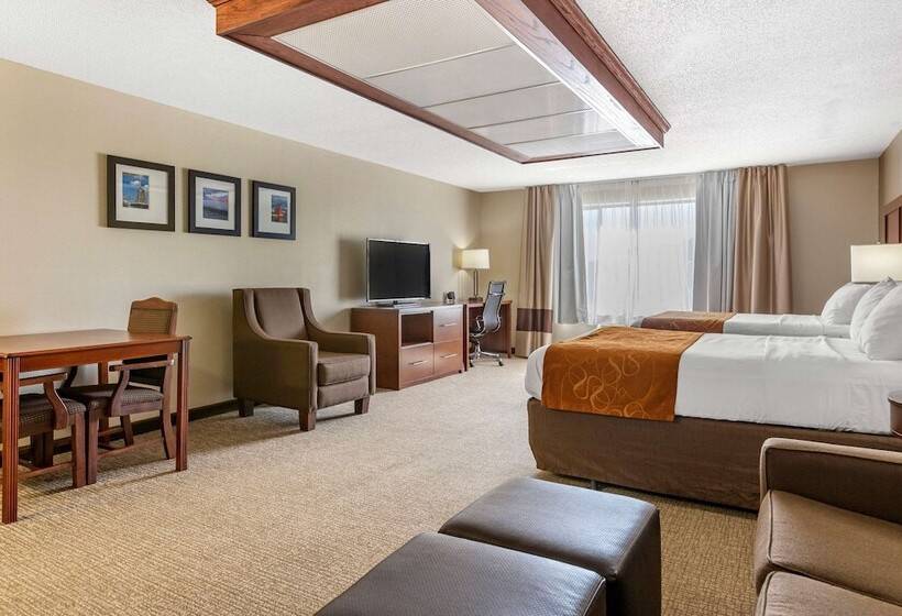 스위트, Comfort Suites Grandville   Grand Rapids Sw