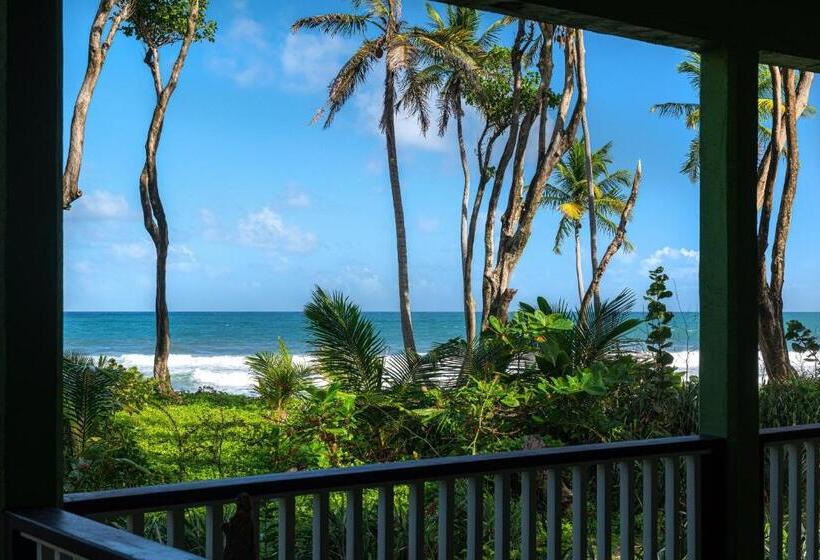 اتاق لوکس با تخت بزرگ, Rosalie Bay Eco Resort & Spa