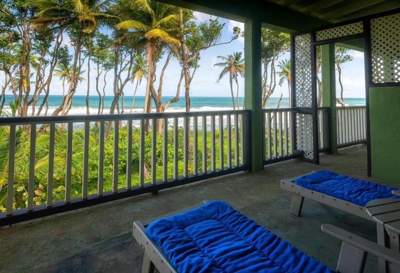اتاق لوکس, Rosalie Bay Eco Resort & Spa