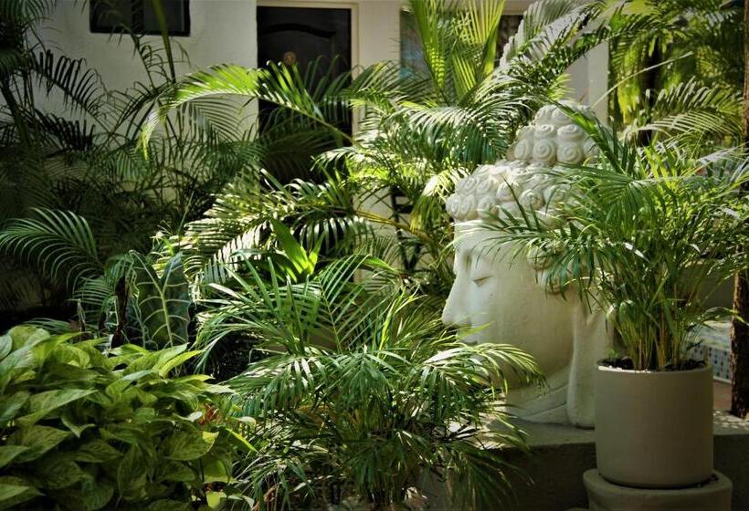 اتاق اکونومی, Boutique Budapez