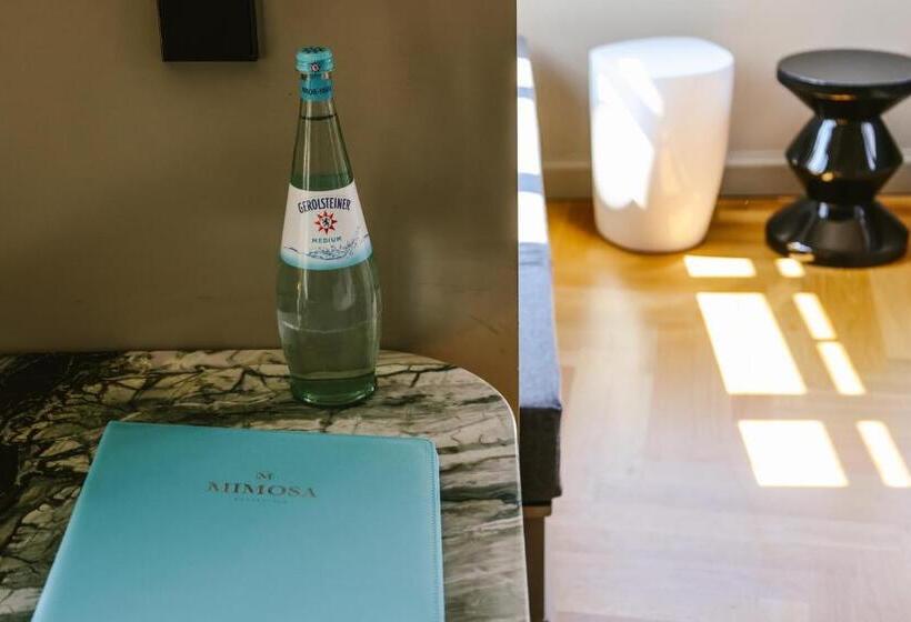 스탠다드 룸, Mimosa Suites