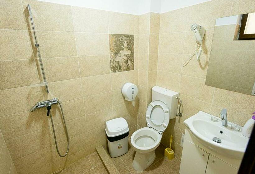 اتاق استاندارد, Casa Domneasca Riana