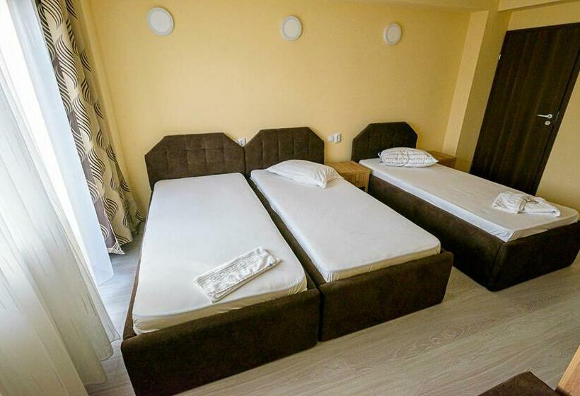اتاق استاندارد سه نفره, Casa Domneasca Riana