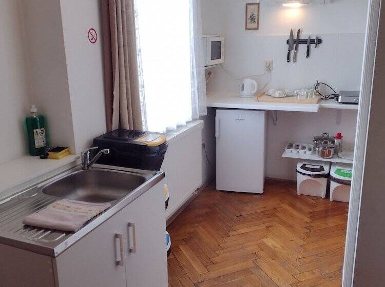 آپارتمان 1 خوابه, Pension Fontana Svitavy
