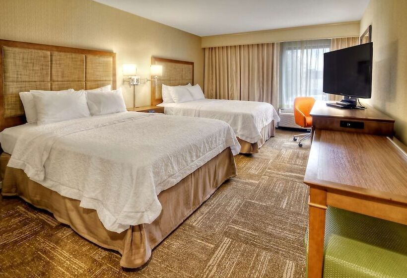 اتاق استاندارد با تخت بزرگ, Hampton Inn & Suites Asheville Airport