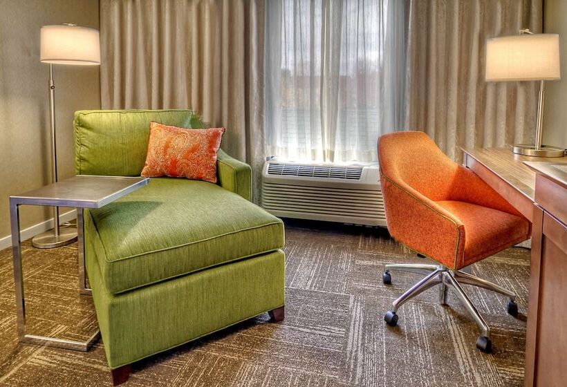 اتاق استاندارد با تخت بزرگ, Hampton Inn & Suites Asheville Airport