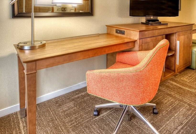 اتاق استاندارد با تخت بزرگ, Hampton Inn & Suites Asheville Airport