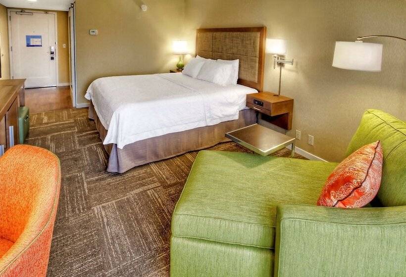 اتاق استاندارد با تخت بزرگ, Hampton Inn & Suites Asheville Airport