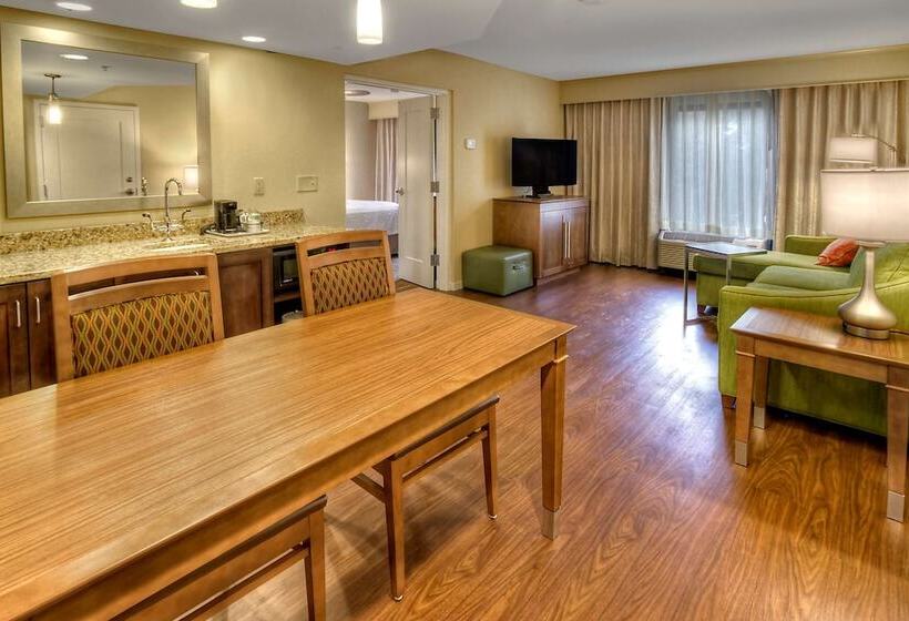سوئیت با تخت بزرگ, Hampton Inn & Suites Asheville Airport