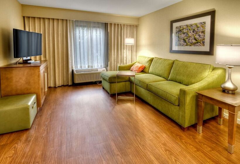 سوئیت با تخت بزرگ, Hampton Inn & Suites Asheville Airport