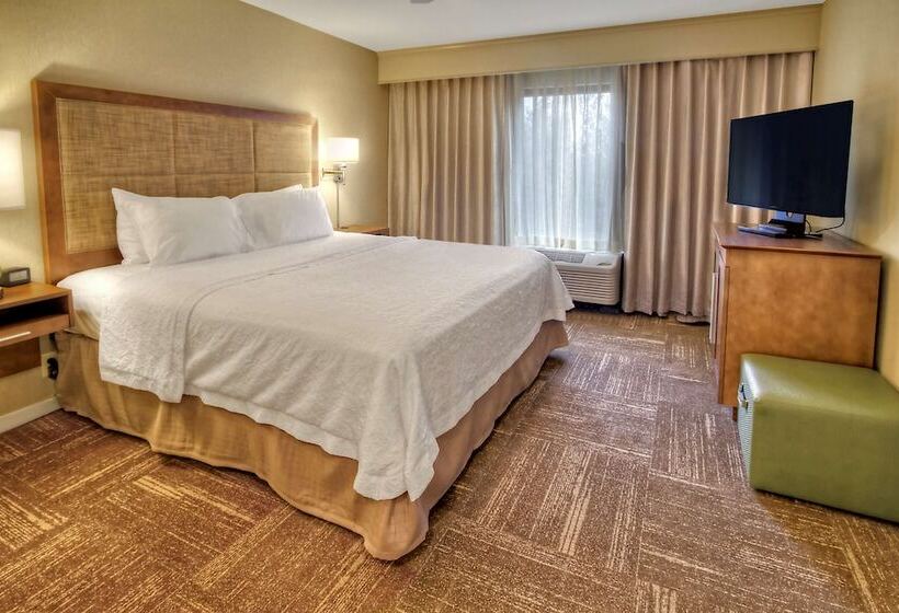 سوئیت با تخت بزرگ, Hampton Inn & Suites Asheville Airport