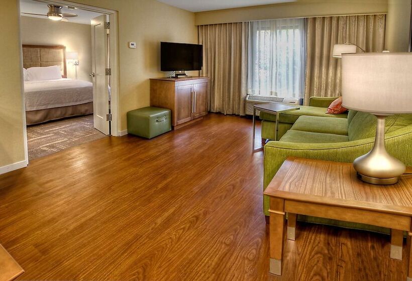 سوئیت با تخت بزرگ, Hampton Inn & Suites Asheville Airport